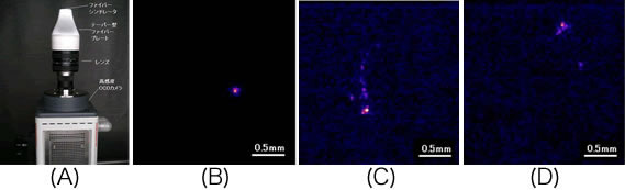 開発した世界最高の空間分解能を有する放射線画像化装置（A）、アルファ線の画像（B）、ベータ線の画像（C）、ガンマ線の画像（D）