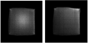 0.2mmx0，2㎜ピクセルのGAGGプレートが122keVのガンマ線(左)と最大エネルギー245keVのベータ線(右)照射による画像。ピクセルは明瞭に分解できた。